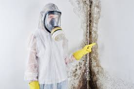 Why You Should Choose Our Mold Remediation Services in Hughes Springs, TX